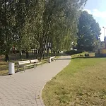 Dzenu * Ρίγα