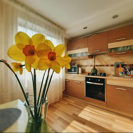 Appartement Dzenu *